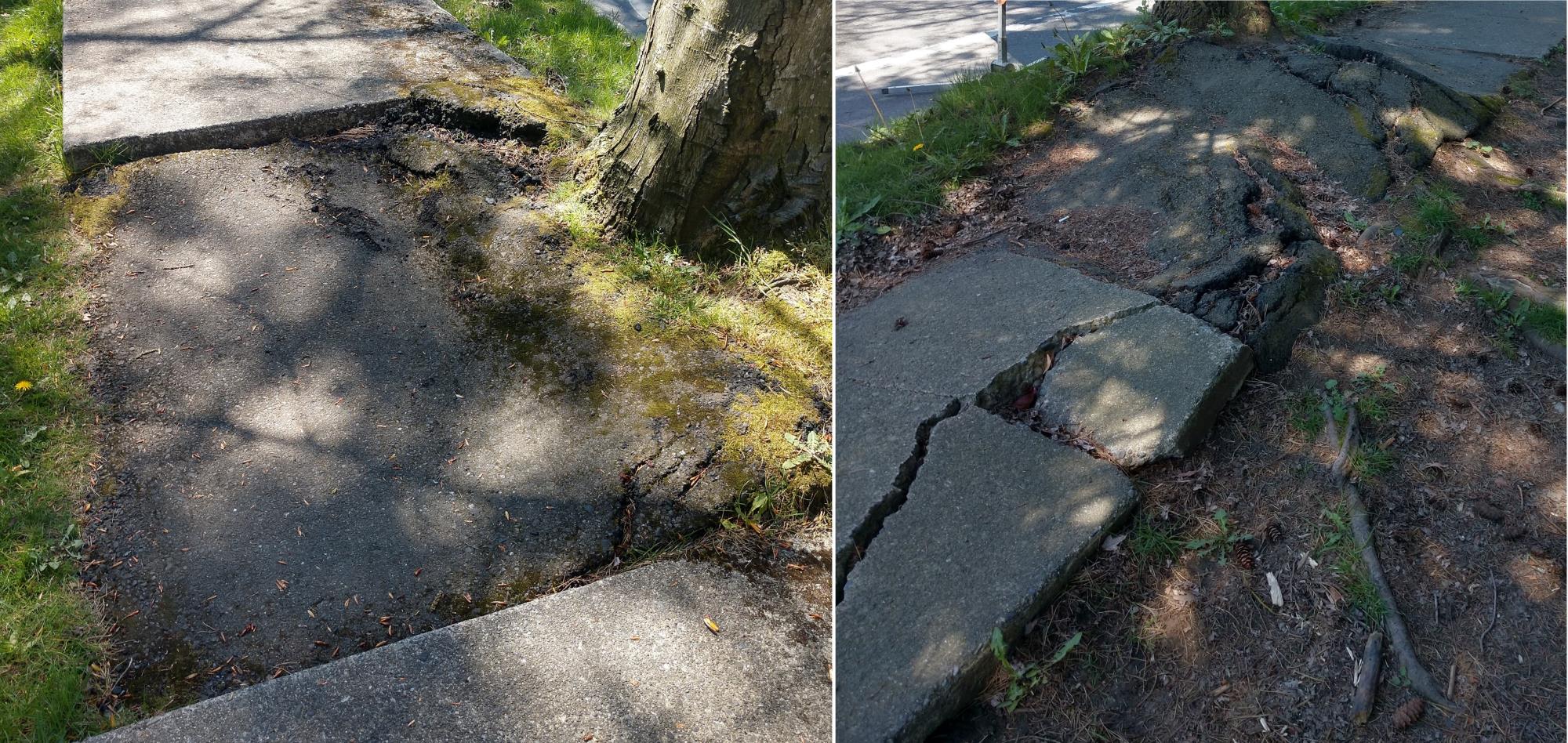 61st Ave NE Damaged Sidewalk Side-by-Side