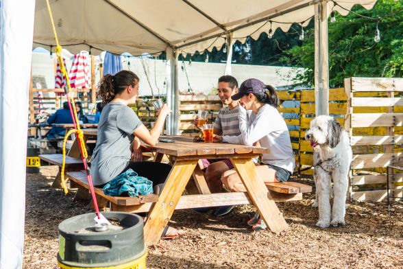 Four people sitting at a picnic table outside under a tent with drinking glasses on table, located at 192 Brewing Company