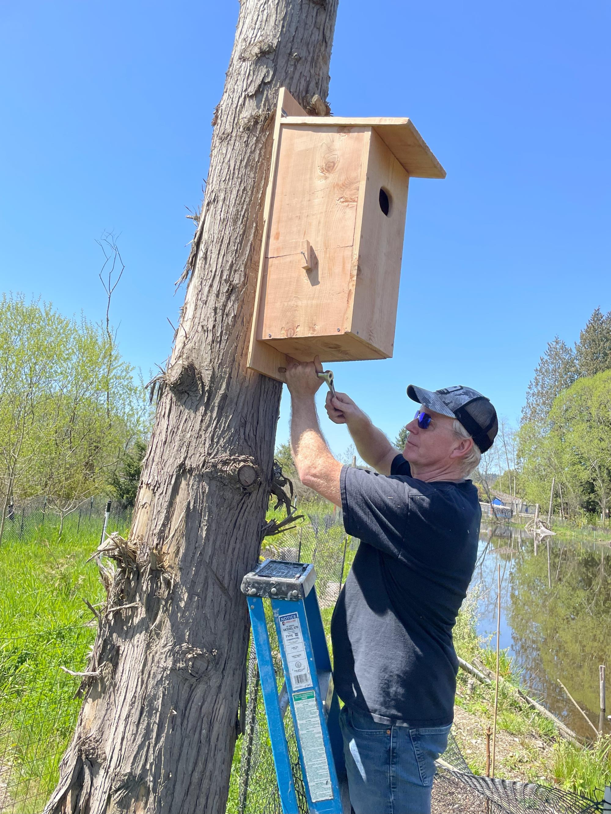 Duck Box install 