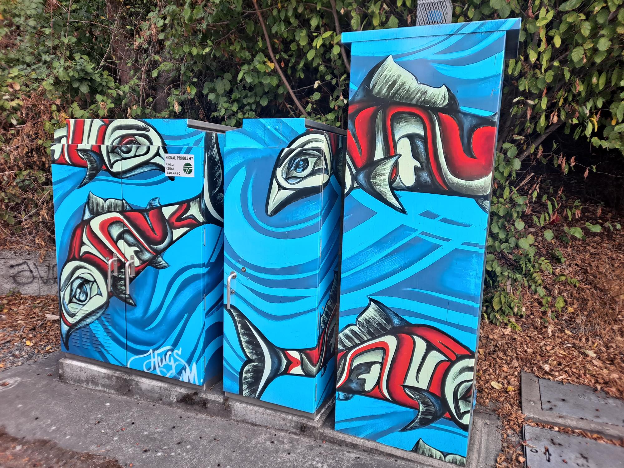 Utility Box with First Peoples Painting Wrap