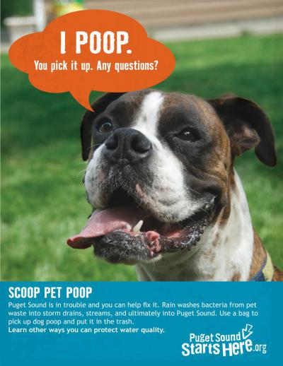 Scoop Pet Poop