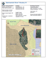 Sammamish River Tributary 01