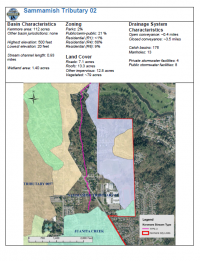 Sammamish River Tributary 02