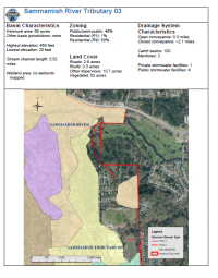 Sammamish River Tributary 03