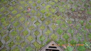 "Grasscrete" is a type of permeable surface with an open grid system