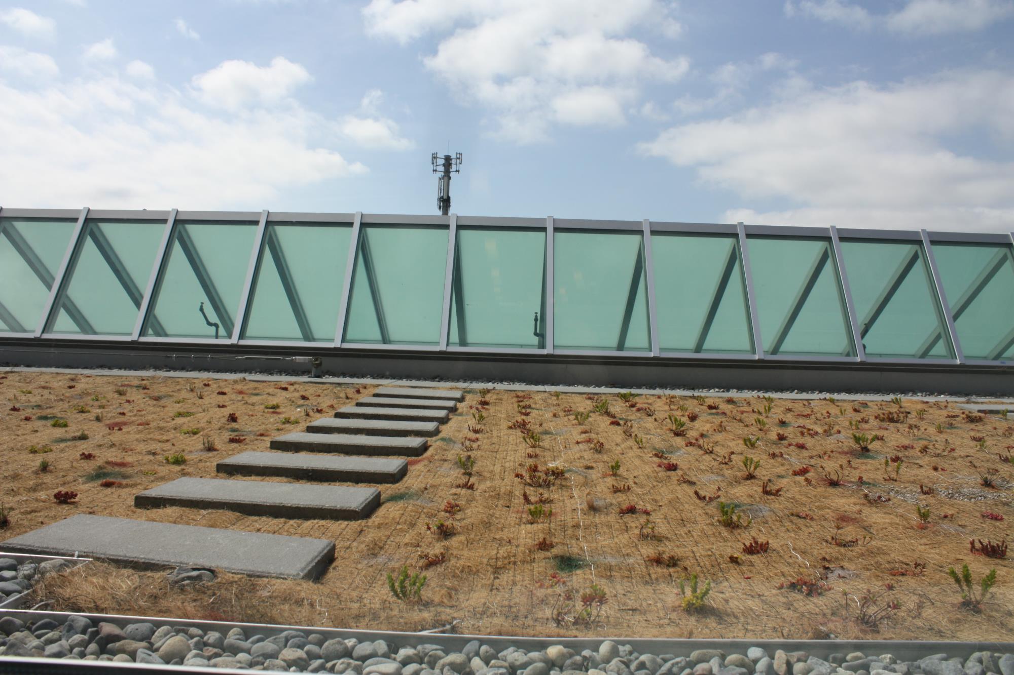 Green Roof