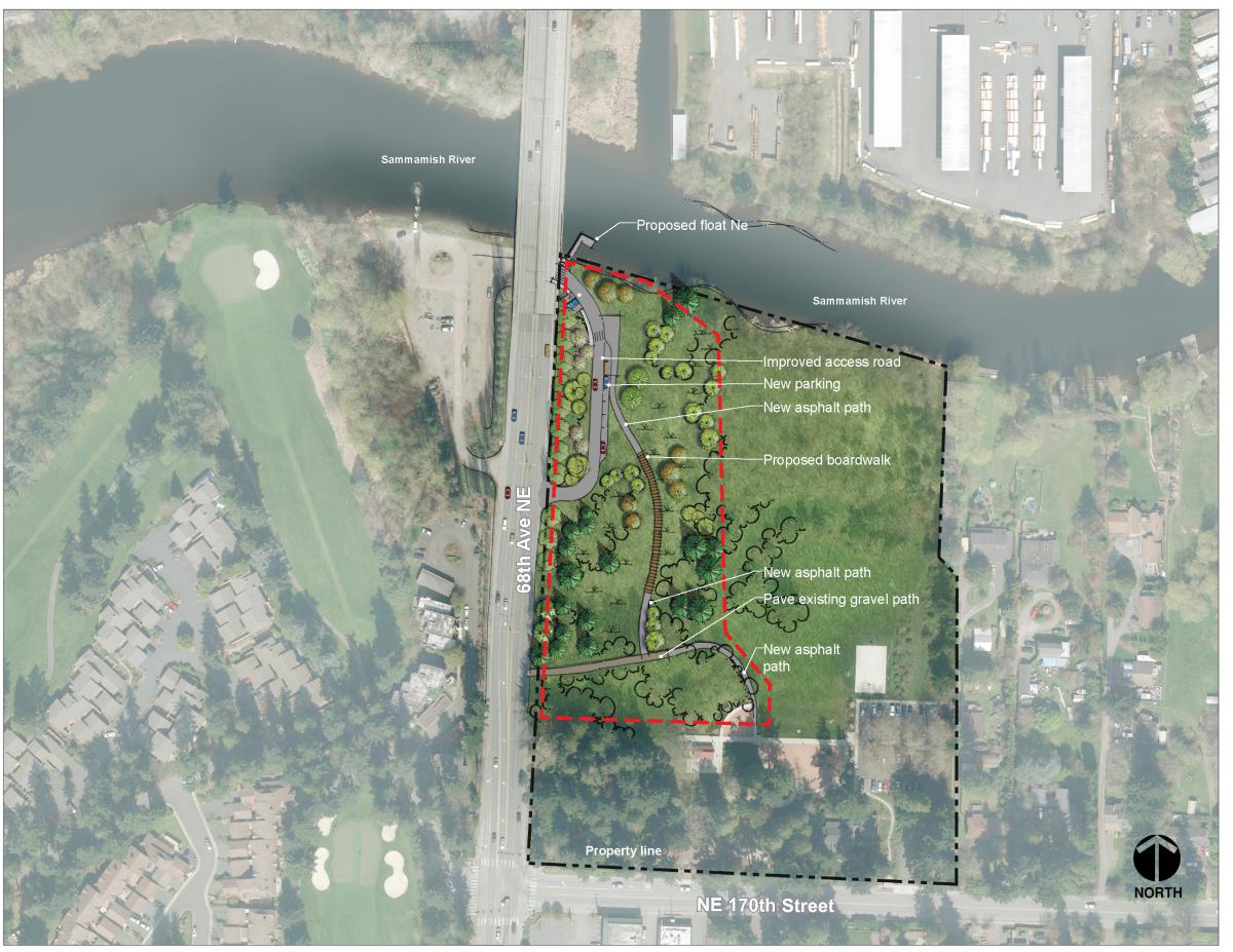 rhododendron plans